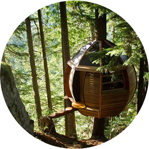 Tree House